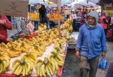 مصر تحدد نطاقات أسعار المواد الغذائية مع ارتفاع التضخم