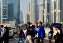 نظام التأمين ضد البطالة الإلزامي في الإمارات العربية المتحدة: إليك كيفية التسجيل وتجنب الغرامات