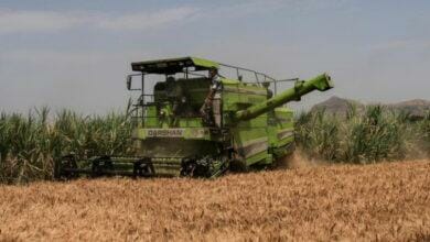 الهند ستقدم 2 مليون طن إضافية من القمح لتهدئة الأسعار