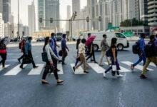 حصلت على أول وظيفة مدفوعة الأجر لك في الإمارات العربية المتحدة؟ إليك 7 أشياء يجب أن تعرفها