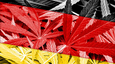 ألمانيا تخفض خطتها لإضفاء الشرعية على الماريجوانا