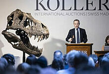 من المتوقع أن يجلب هيكل T. rex skeleton الملايين في مزاد زيورخ