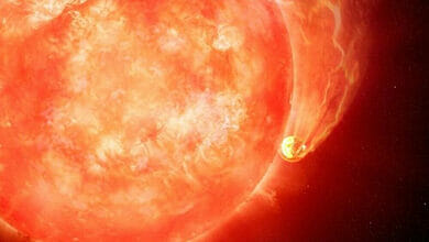 رأى علماء الفلك لأول مرة نجمًا يبتلع كوكبًا
