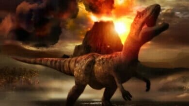 هل انقرضت الديناصورات منذ 65 مليون سنة؟ اكتشاف الأنسجة الرخوة التي تثبت خطأ العلماء