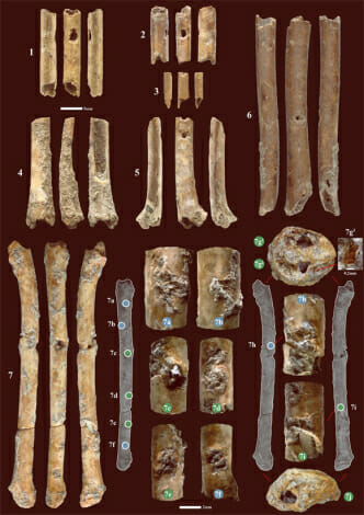 تم اكتشاف مزامير عمرها 12000 عام في إسرائيل