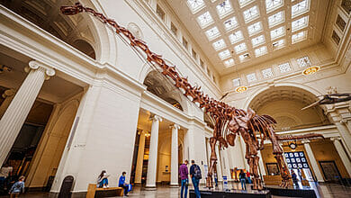 5 أحافير ديناصور ضخمة وأين تم العثور عليها