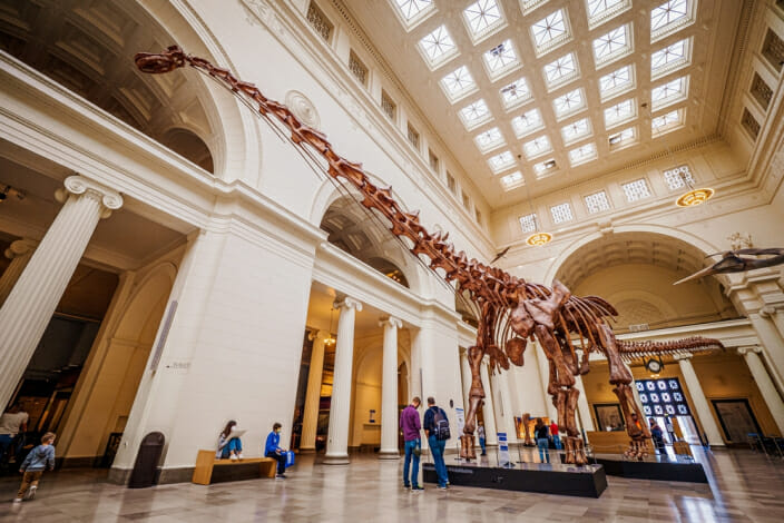 5 أحافير ديناصور ضخمة وأين تم العثور عليها