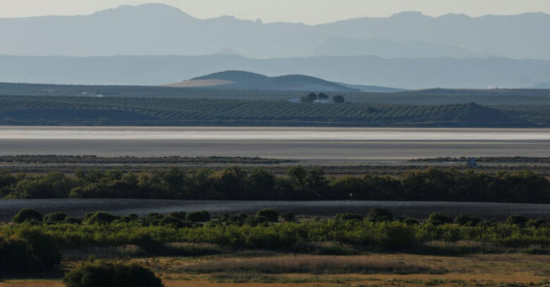 بحيرة إسبانية تشتهر بتربية طيور الفلامنجو تجف مع استمرار الجفاف