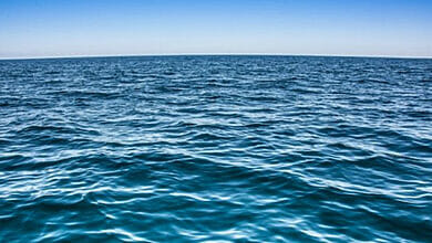 توصلت دراسة إلى أن لون محيطات العالم يتغير بسبب انهيار المناخ