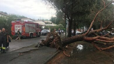 عاصفة قوية في ميلانو ، أضرار جسيمة ، بعض أجزاء المدينة بدون كهرباء