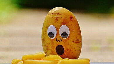 ماذا يحدث في جسمك إذا كنت تأكل البطاطس فقط؟