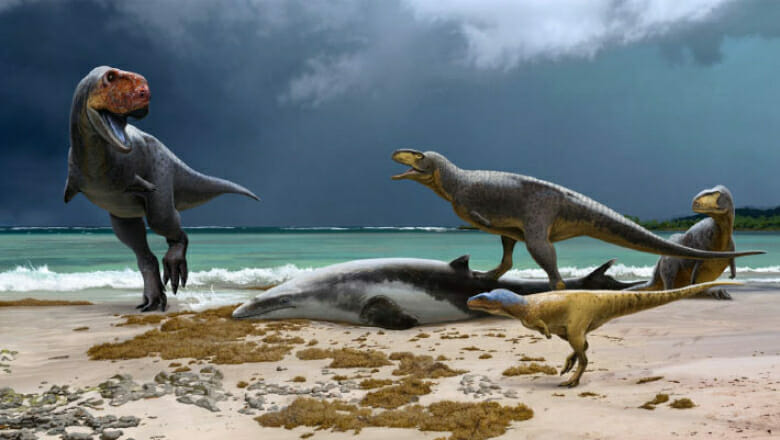 اكتشاف حفريات ديناصورات أبيليصورية جديدة بالمغرب